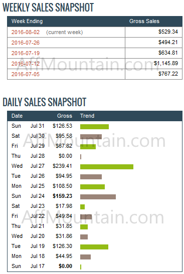 Wealthy Affiliate Results
